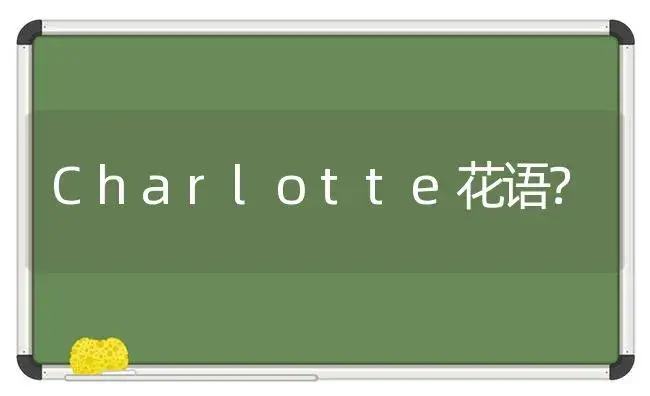 Charlotte花语？ | 绿植常识