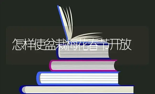 怎样使盆栽梅花春节开放 | 特种种植