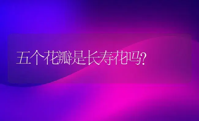 五个花瓣是长寿花吗？ | 多肉养殖
