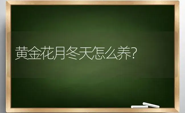 黄金花月冬天怎么养？ | 多肉养殖