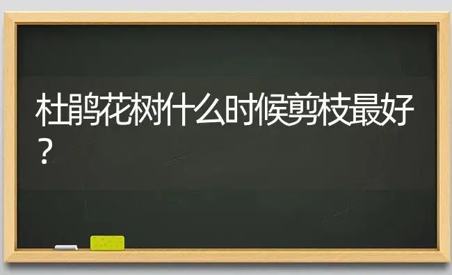 杜鹃花树什么时候剪枝最好？ | 绿植常识