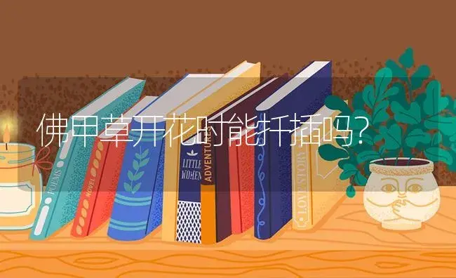 佛甲草开花时能扦插吗？ | 多肉养殖