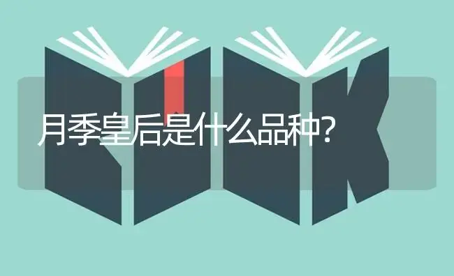 月季皇后是什么品种？ | 绿植常识