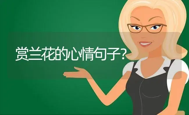 赏兰花的心情句子？ | 绿植常识