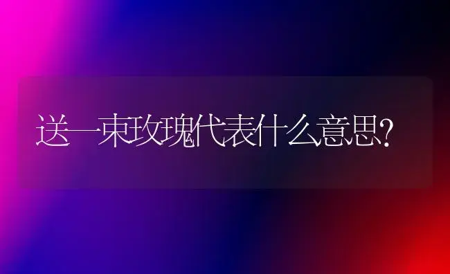 送一束玫瑰代表什么意思？ | 绿植常识