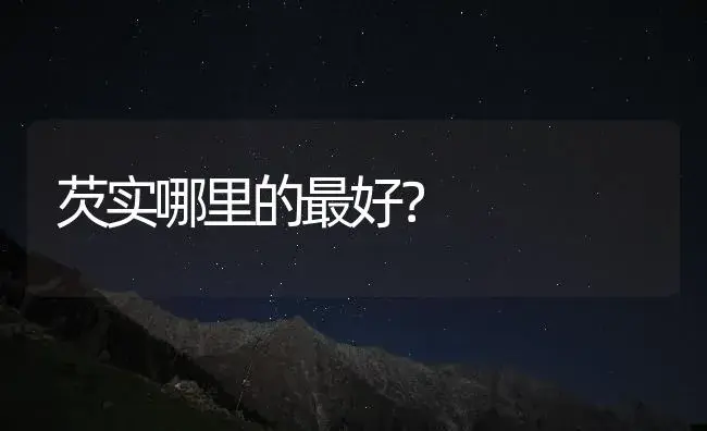 芡实哪里的最好？ | 药材种植