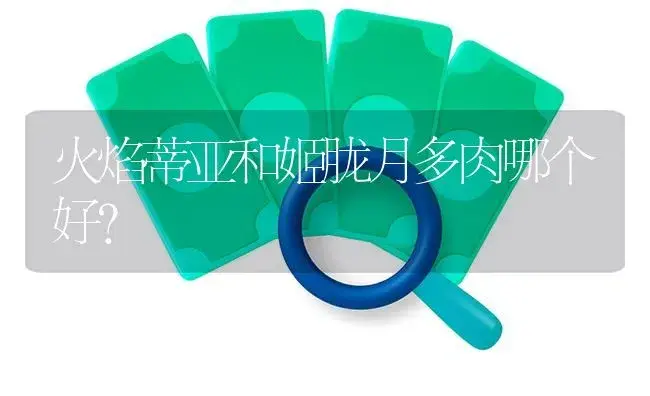 火焰蒂亚和姬胧月多肉哪个好？ | 多肉养殖