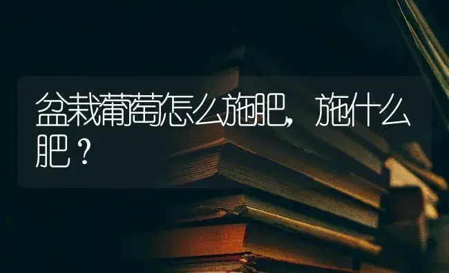 盆栽葡萄怎么施肥，施什么肥？ | 果木种植