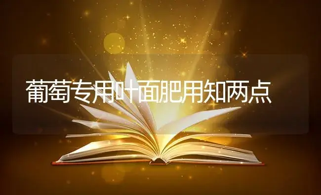 葡萄专用叶面肥用知两点 | 果木种植