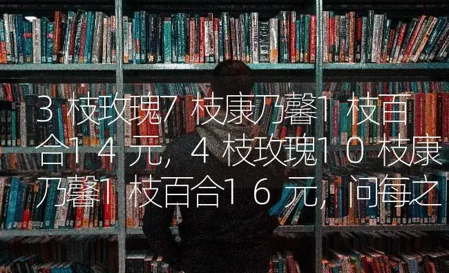 3枝玫瑰7枝康乃馨1枝百合14元，4枝玫瑰10枝康乃馨1枝百合16元，问每之花的价格？ | 绿植常识