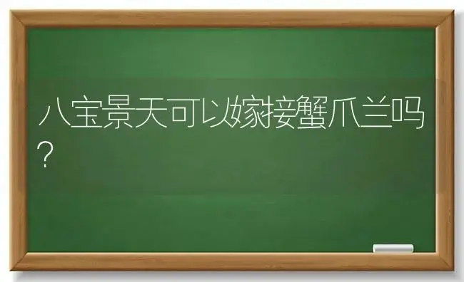 八宝景天可以嫁接蟹爪兰吗？ | 多肉养殖