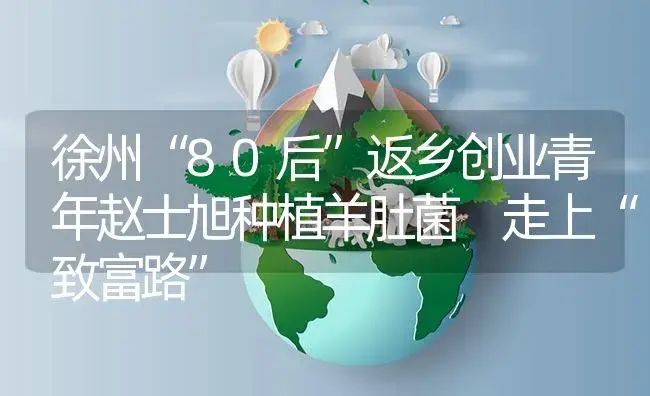 徐州“80后”返乡创业青年赵士旭种植羊肚菌 走上“致富路” | 菌菇种植