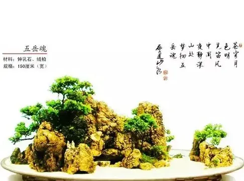 附石盆景 | 如何制作具有多面观赏艺术效果的山石盆景