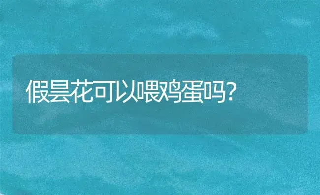 假昙花可以喂鸡蛋吗？ | 多肉养殖