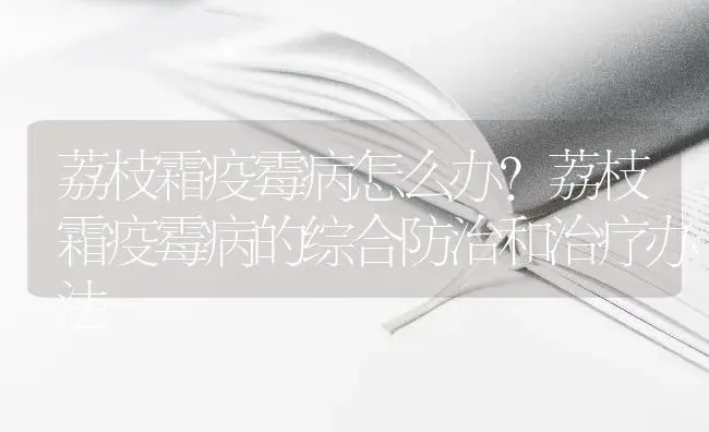 荔枝霜疫霉病怎么办？荔枝霜疫霉病的综合防治和治疗办法 | 果木种植