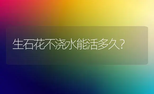 生石花不浇水能活多久？ | 多肉养殖