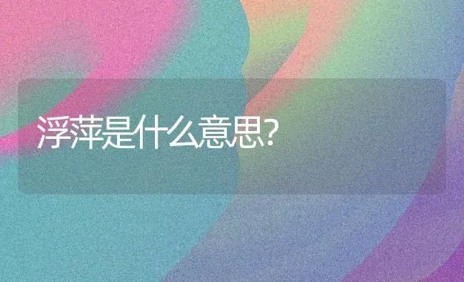 浮萍是什么意思？ | 家庭养花