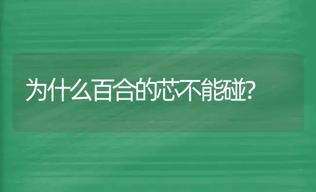 为什么百合的芯不能碰？ | 绿植常识