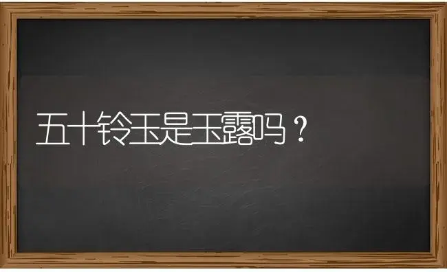 五十铃玉是玉露吗？ | 多肉养殖