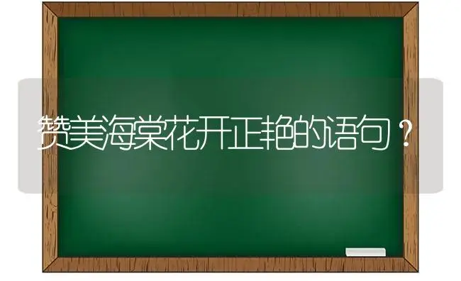 赞美海棠花开正艳的语句？ | 绿植常识