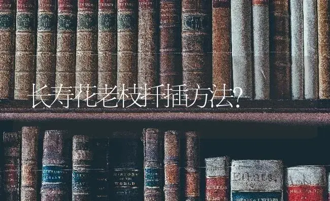 长寿花老枝扦插方法？ | 多肉养殖