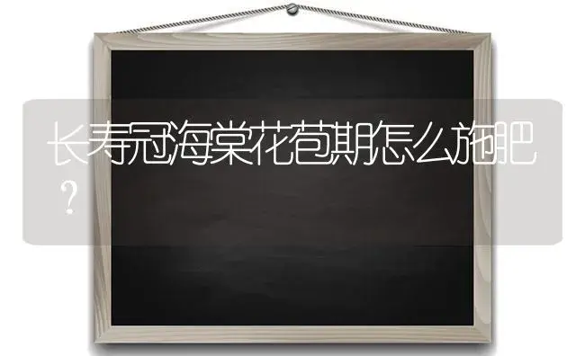 长寿冠海棠花苞期怎么施肥？ | 多肉养殖