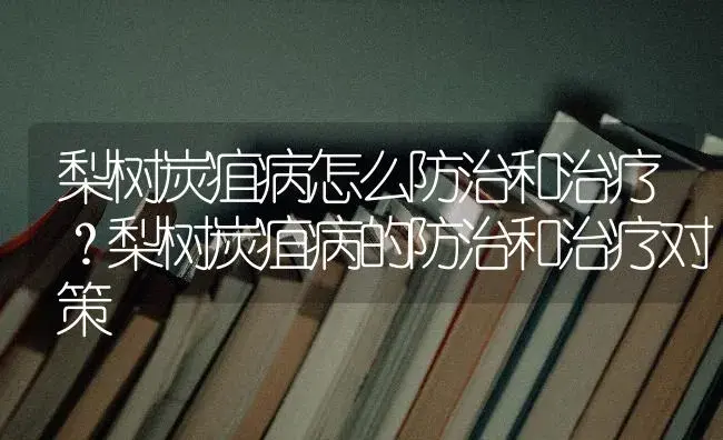 梨树炭疽病怎么防治和治疗？梨树炭疽病的防治和治疗对策 | 果木种植