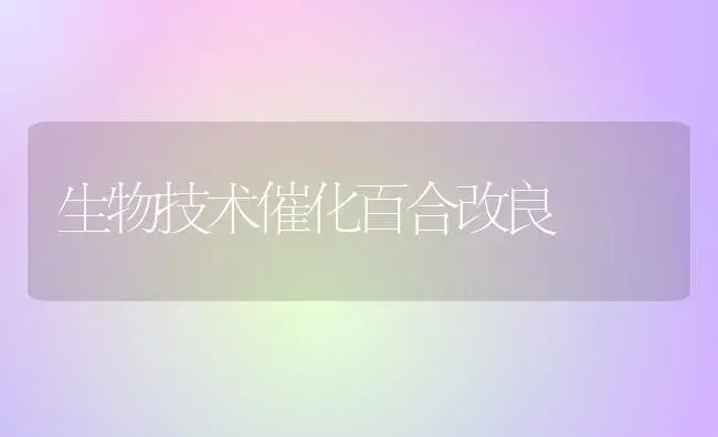 生物技术催化百合改良 | 家庭养花