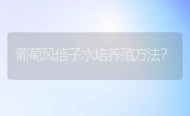 葡萄风信子水培养殖方法？ | 绿植常识