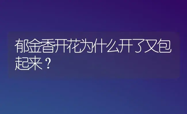 郁金香开花为什么开了又包起来？ | 绿植常识