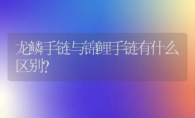 掌上珊瑚怜不得却叫移作上阳花是什么意思。请帮忙？ | 多肉养殖