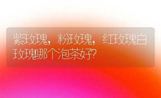 栀子花叶干瘪发蔫是什么原因？ | 绿植常识