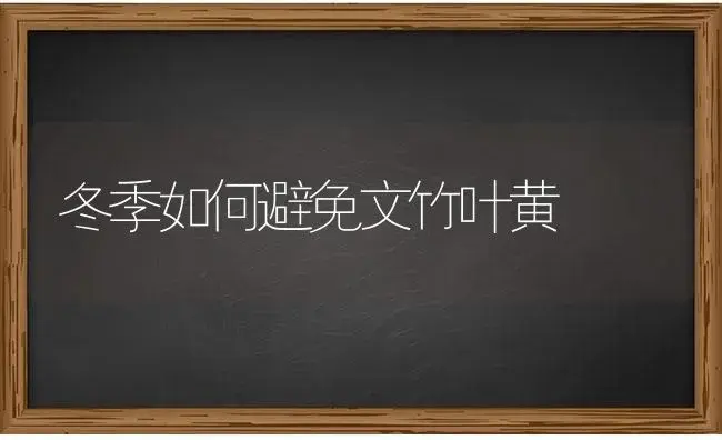 冬季如何避免文竹叶黄 | 特种种植