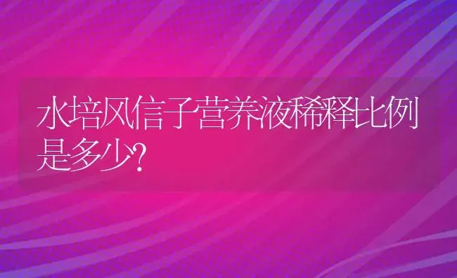 水培风信子营养液稀释比例是多少？ | 绿植常识