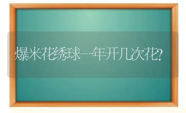 爆米花绣球一年开几次花？ | 绿植常识