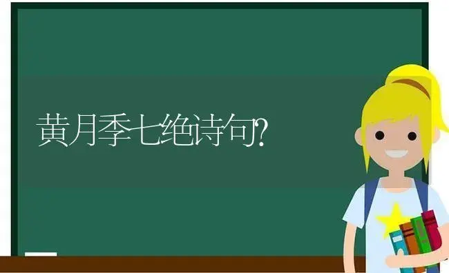 黄月季七绝诗句？ | 绿植常识