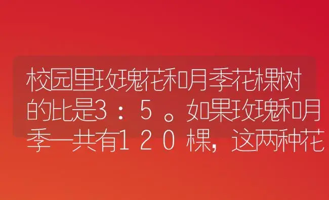 校园里玫瑰花和月季花棵树的比是3:5。如果玫瑰和月季一共有120棵，这两种花各有多少棵?如果月季有120棵，玫瑰有多少棵？ | 绿植常识