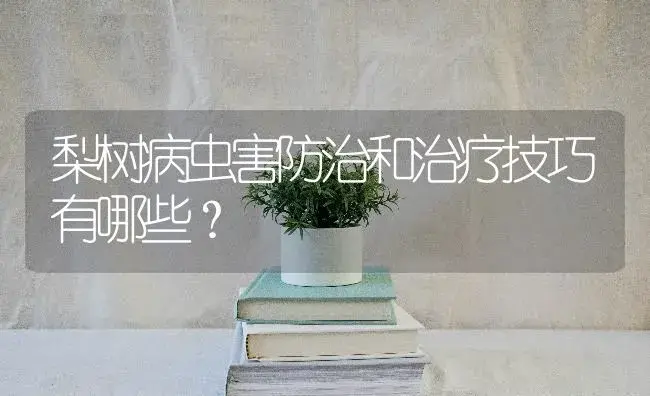 梨树病虫害防治和治疗技巧有哪些？ | 果木种植