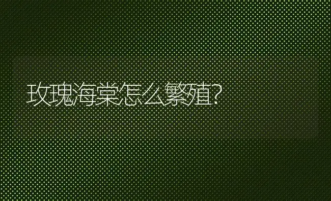 玫瑰海棠怎么繁殖？ | 绿植常识