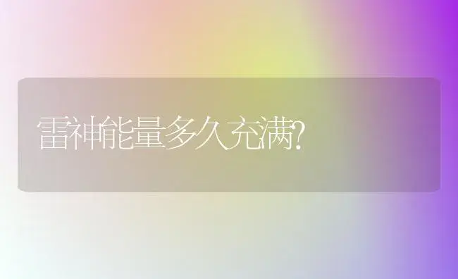 雷神能量多久充满？ | 多肉养殖