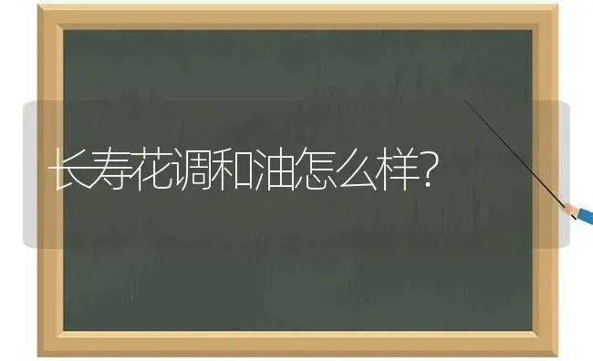 长寿花调和油怎么样？ | 多肉养殖