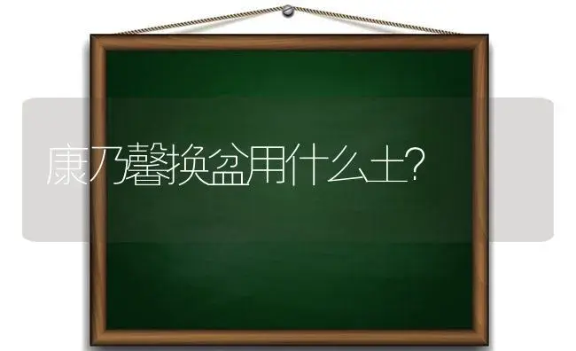 康乃馨换盆用什么土？ | 绿植常识