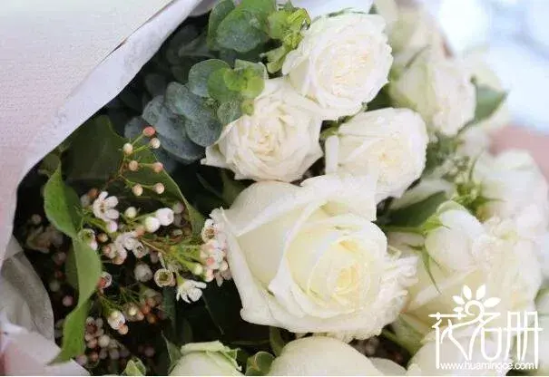 9朵白玫瑰的花语是什么，爱你如初_花语大全