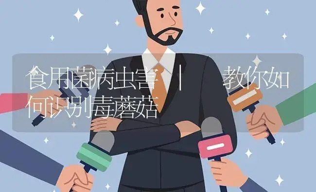 教你如何识别毒蘑菇 | 菌菇种植