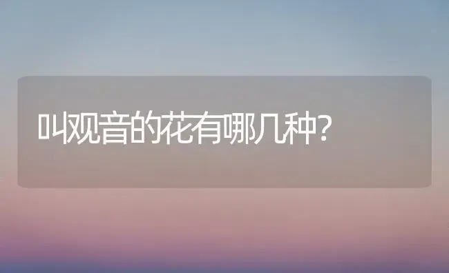 叫观音的花有哪几种？ | 多肉养殖