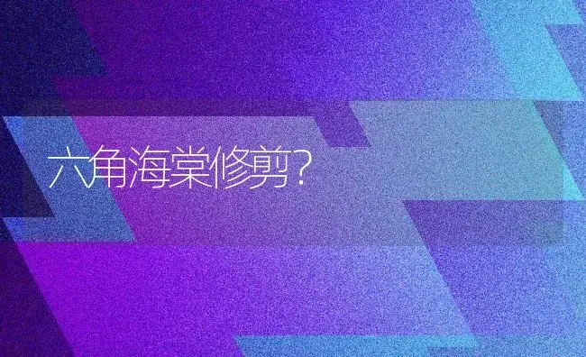 六角海棠修剪？ | 绿植常识