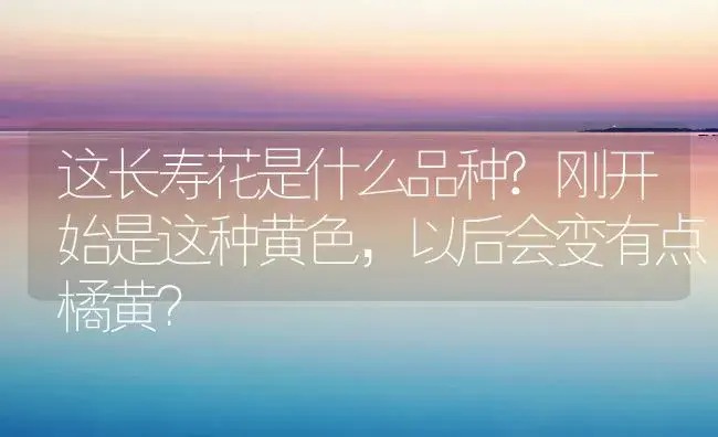 这长寿花是什么品种?刚开始是这种黄色,以后会变有点橘黄？ | 多肉养殖