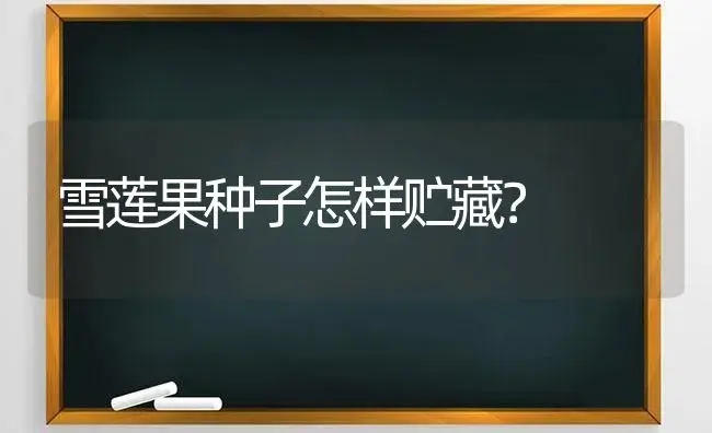 雪莲果种子怎样贮藏？ | 多肉养殖