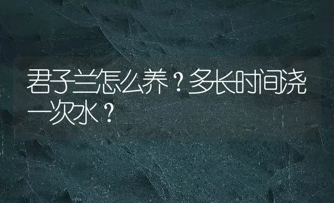 君子兰怎么养？多长时间浇一次水？ | 绿植常识