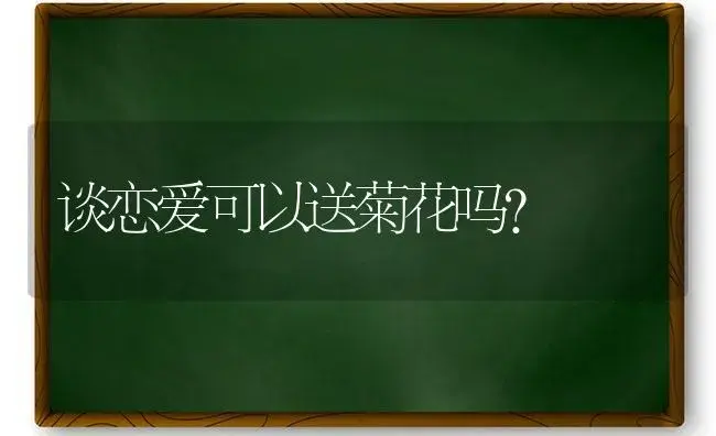 谈恋爱可以送菊花吗？ | 绿植常识